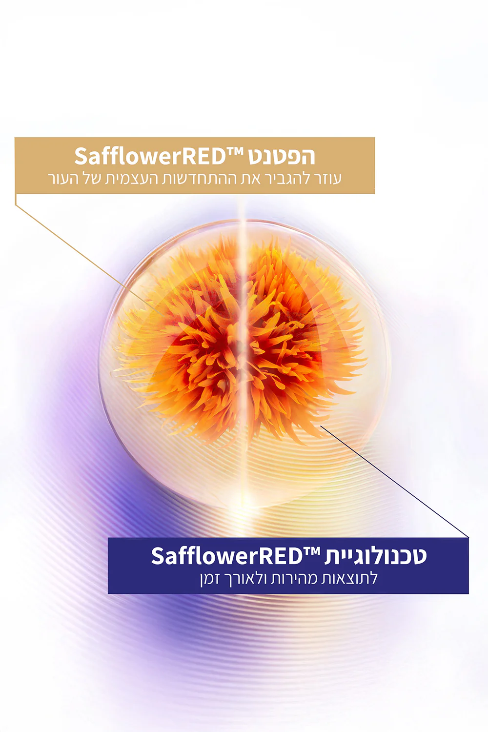 קצף ניקוי עשיר לעור הפנים 125 מ"ל FUTURE SOLUTION - Image 3