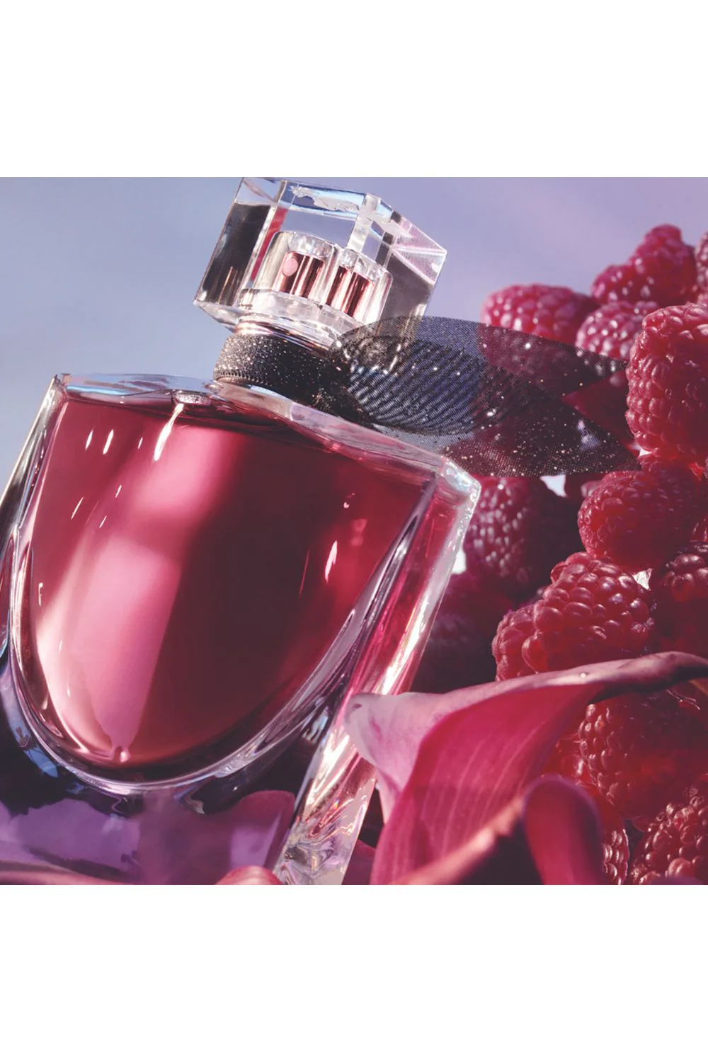 בושם לאישה 50 מ"ל LA VIE EST BELLE L'ELIXIR E.D.P - Image 4