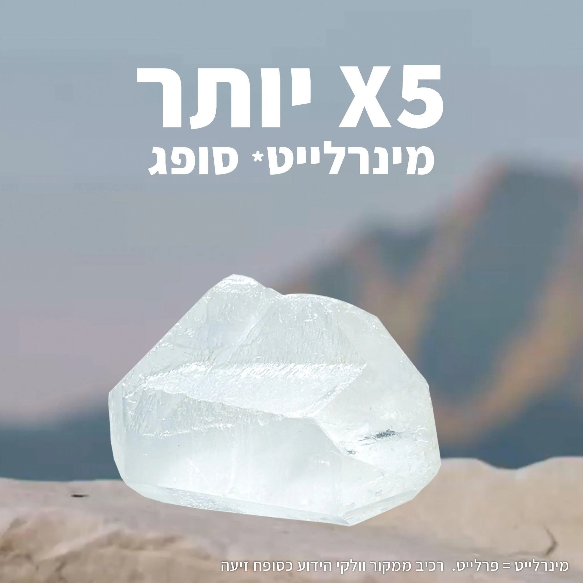 גוזייה סימלס LEOPARD בצבע לבן - Image 5