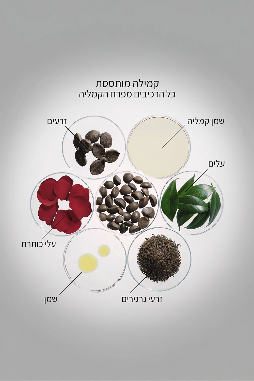 סרום עוצמתי 75 מ"ל ULTIMUNE - Image 4