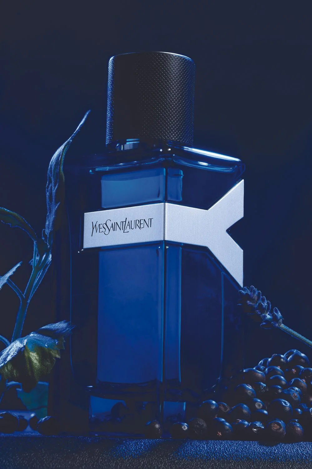 בושם לאישה 100 מ"ל BURBERRY HER PARFUM | ברברי - Image 3